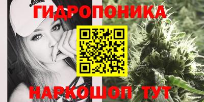 синтетический гашиш Кингисепп