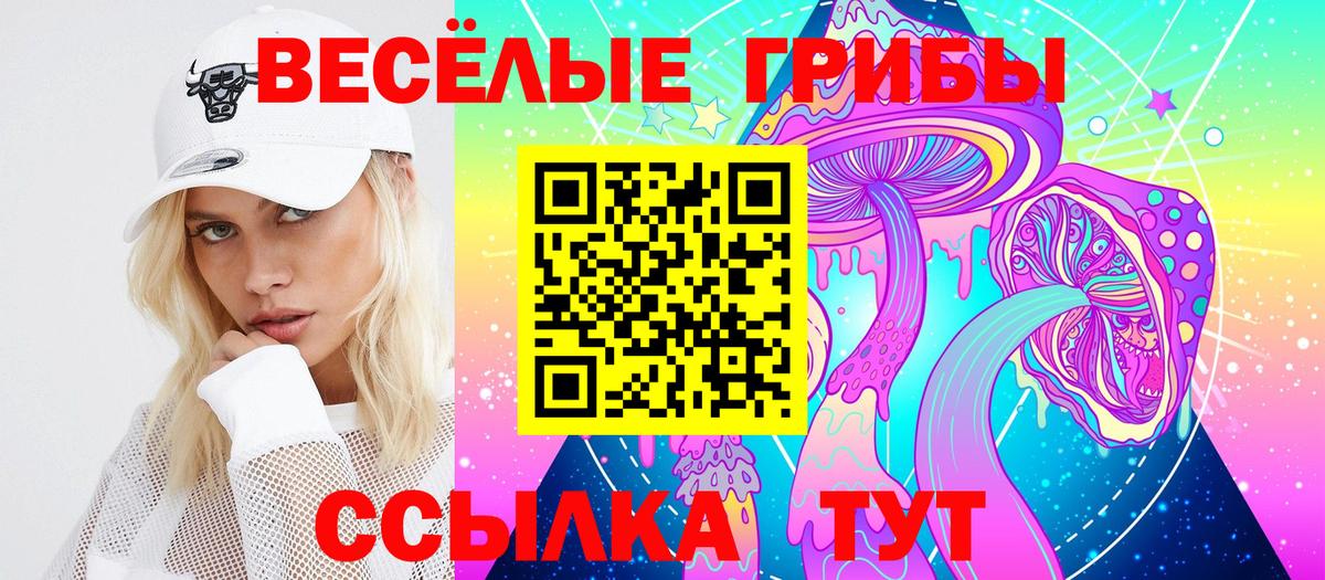 Псилоцибиновые грибы ЛСД  Галлюциногенные грибы Psilocybine cubensis  Вход с VPN  Ленинск-Кузнецкий 