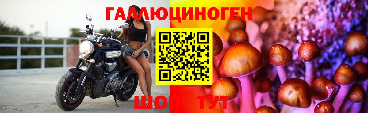 Псилоцибиновые грибы Psilocybine cubensis Ленинск-Кузнецкий
